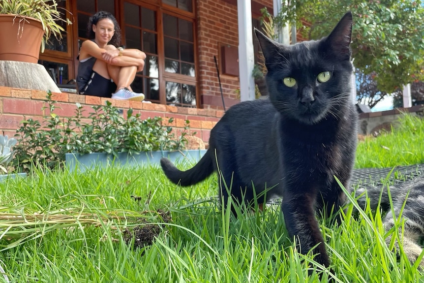 A cat on the lawn with a woman looking on from her veranda