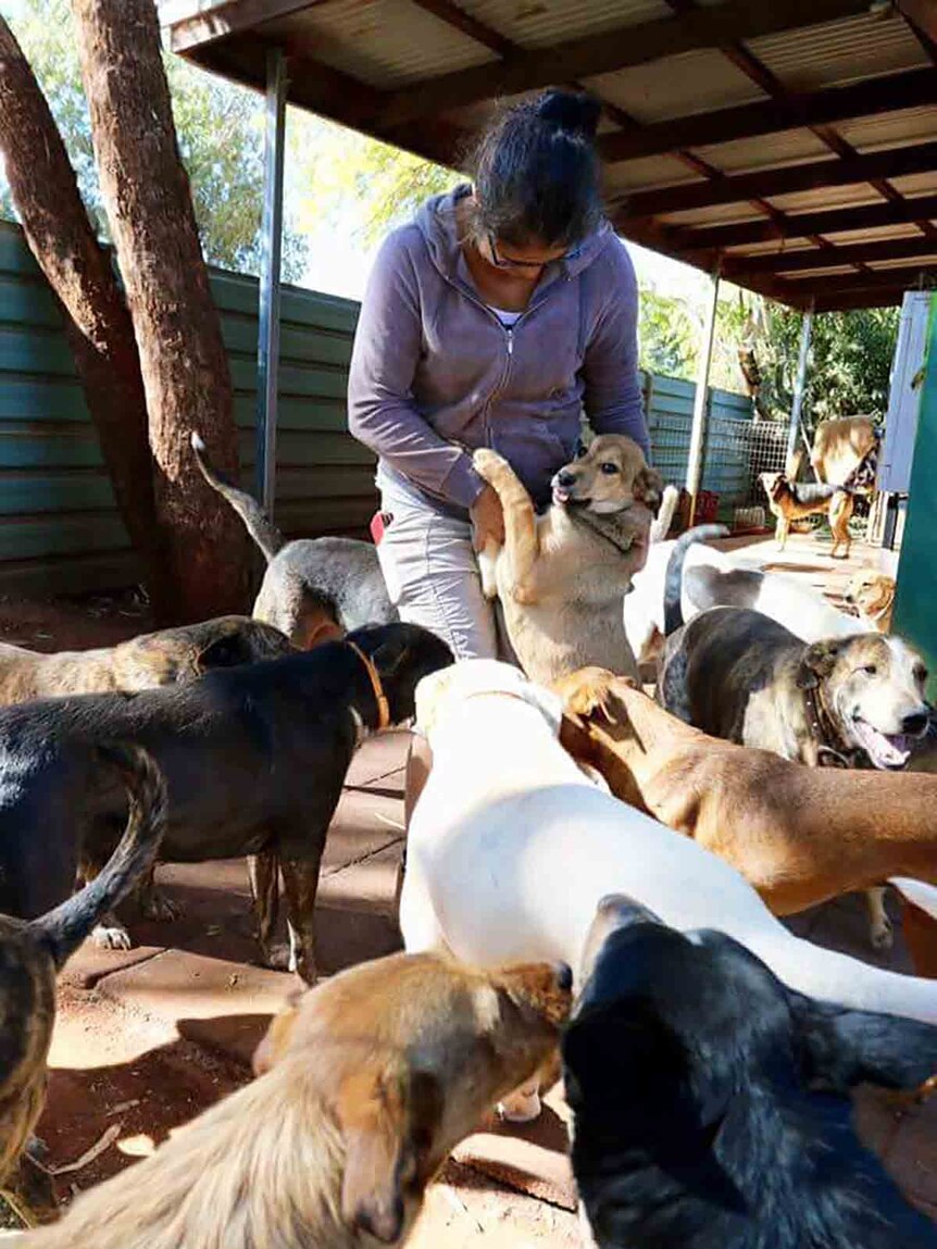 Woman surrounded by dozens of dogs in rural community.