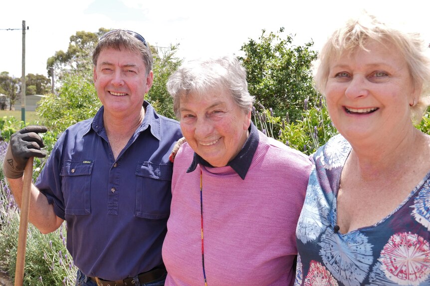 A middle aged man and woman help an older lady prune lavender.