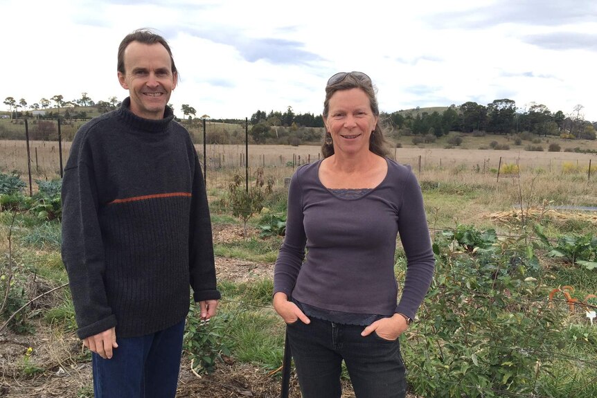Kevin Hartley and Jane Pickard standing in the vegetable patch at Banded Bee Farm near Armidale