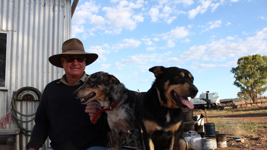 Graham Goodman with his two dogs, Al and Tiger.