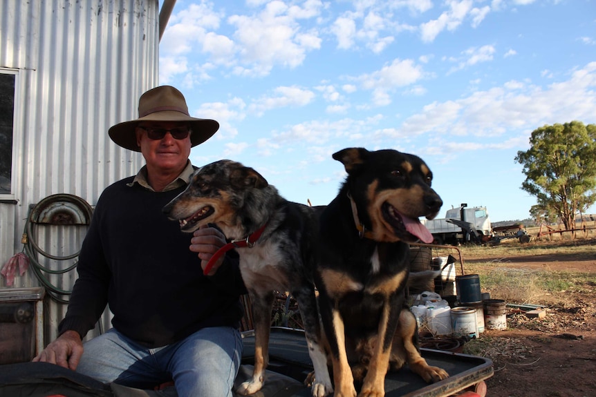 Graham Goodman with his two dogs, Al and Tiger.