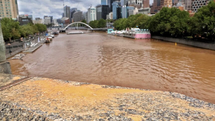 Melbourne's Yarra River full of brown water after heavy overnight rain.