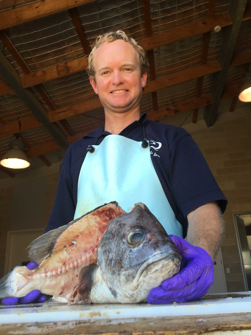 West Australian department of fisheries technical officer