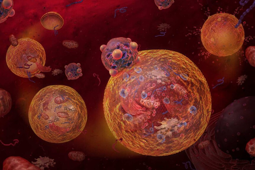 An artist's impression of aldehyde oxidase attacking healthy placenta cells
