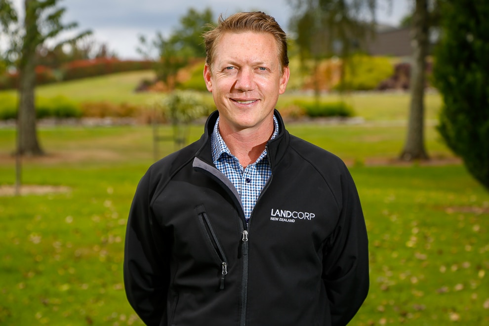 Steve Carden, Landcorp