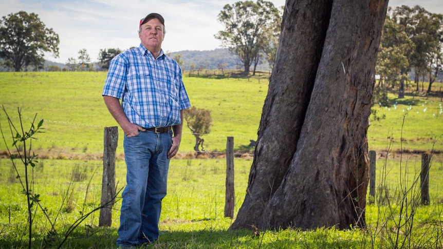 David Williams stands next to an Aboriginal scar tree.
