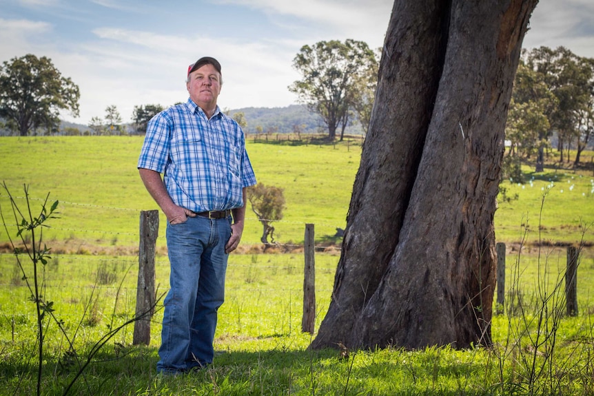 David Williams stands next to an Aboriginal scar tree.