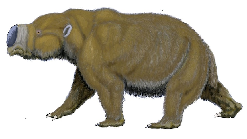 Illustration of a Diprotodon