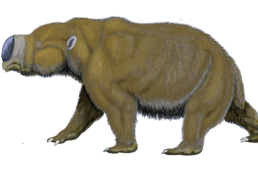 Illustration of a Diprotodon