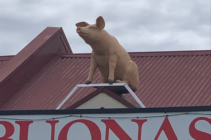 A fibreglass pig statue perched on top of a building roof