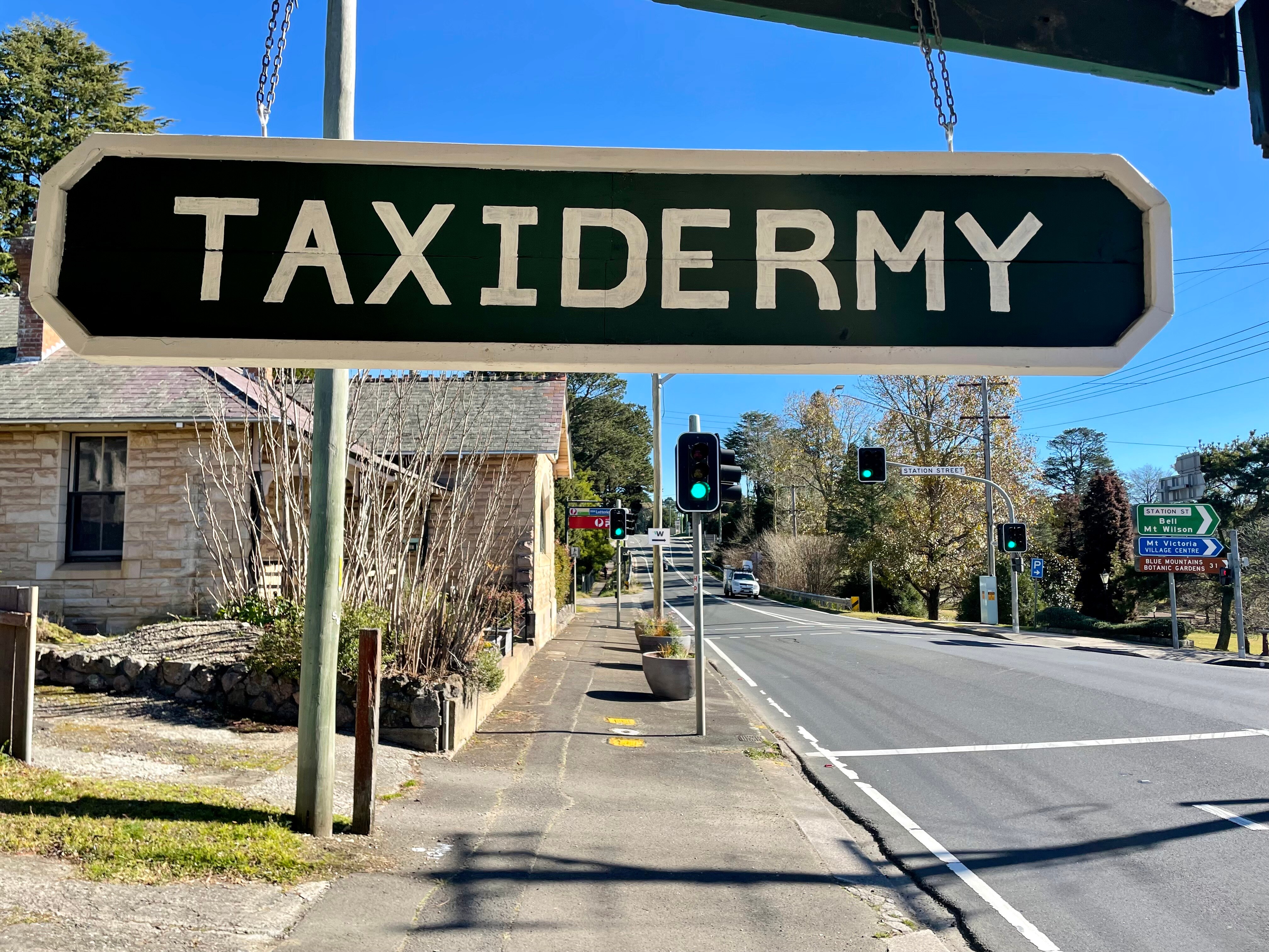 A sign saying taxidermy hanging about a shop next to a highway
