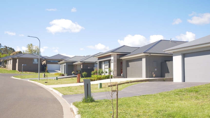 Strip of suburban homes on street