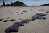 Oil from stricken ship Rena on a New Zealand beach