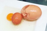 An egg yolk and a small egg beside the larger egg that contained it