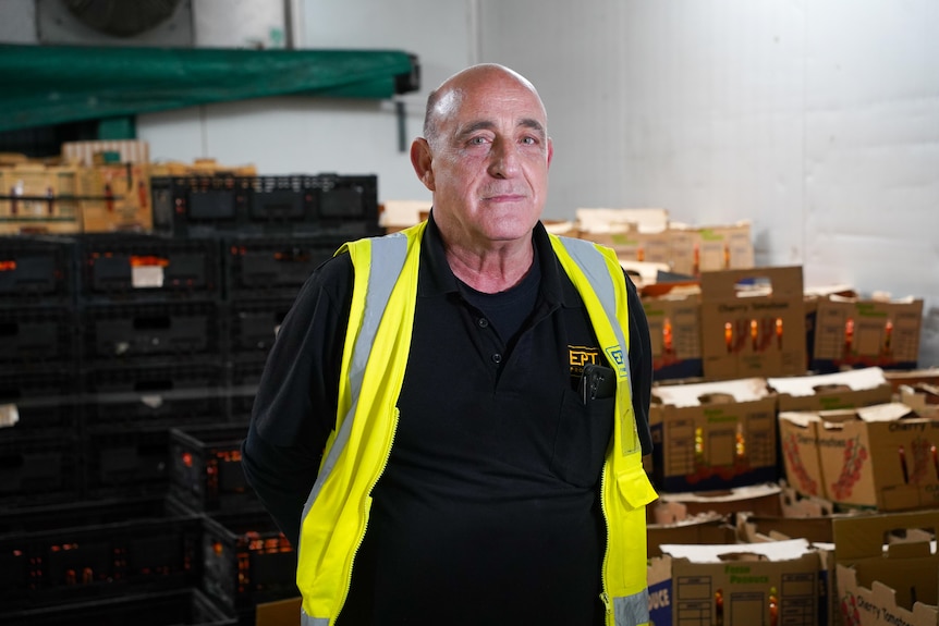 Wally stands in front of stacks of cardboard boxes, wearing high vis