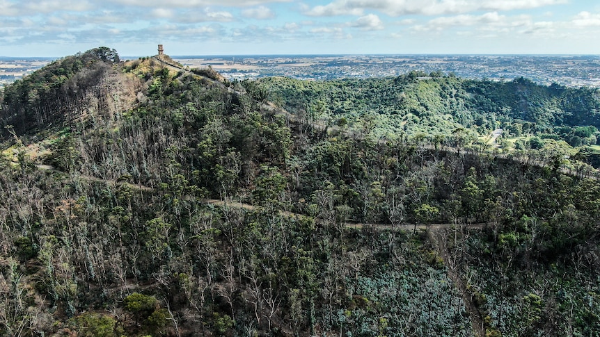 A large hill with a stone tower on top is lined with burnt trees.