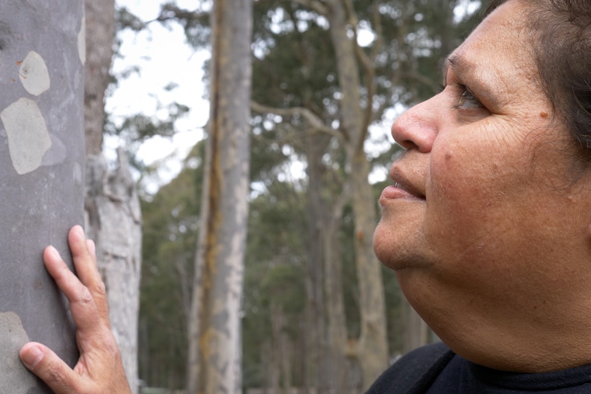 Side angle of a woman looking up at a tree with her hand on the trunk.