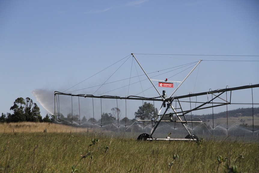 An irrigation system in a paddock