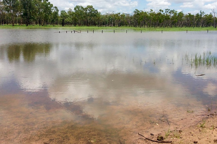 Water fills a dam and paddock on a station west of Charters Towers