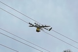 an image of a drone carrying food truck stuck on power lines