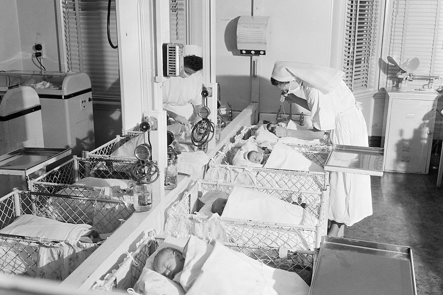 A black-and-white photo from 1954 showing a nurse with newborn babies in a hospital creche