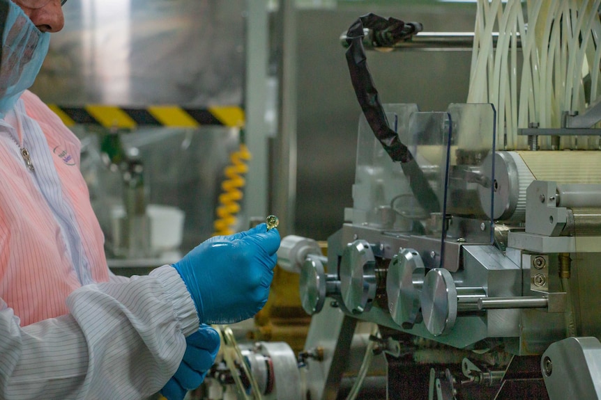 A worker squeezes a fish oil capsule in a nutraceutical factory in Melbourne.