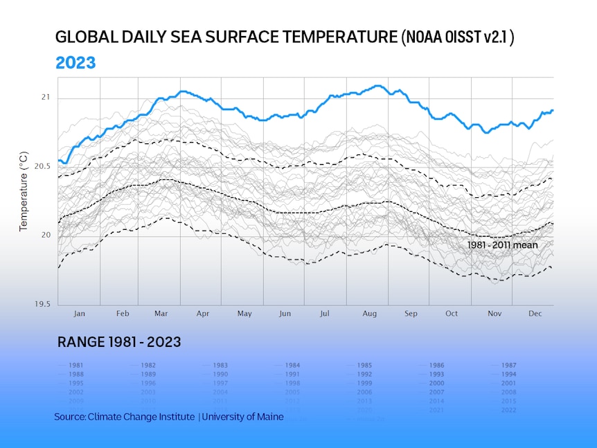 A graph of daily sea surface temperature 2023