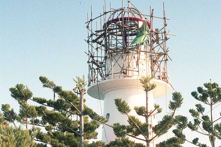 Pine trees in the foreground with a lighthouse behind them being dismantled with scaffolding at the top of the tower.
