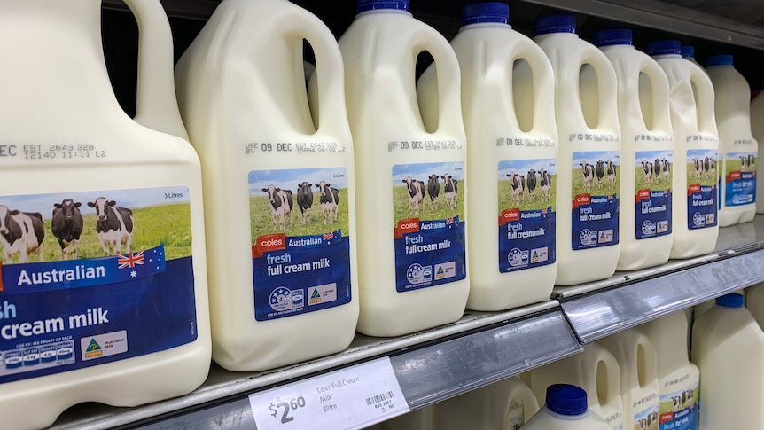 Plastic two litres of Coles milk in the dairy cabinet.