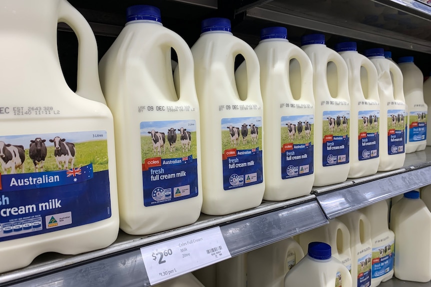 Plastic two litres of Coles milk in the dairy cabinet.