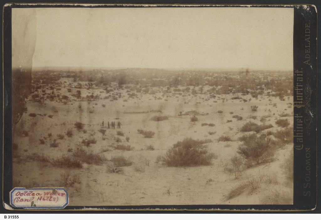 Faded, yellowed early 20th century photograph showing desert landscape with saltbushes.