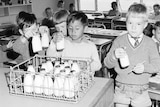 Young school children in a classroom grab milk bottles.