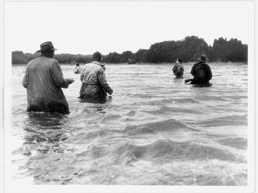 Searching the swamp for Margaret Clement, 1952