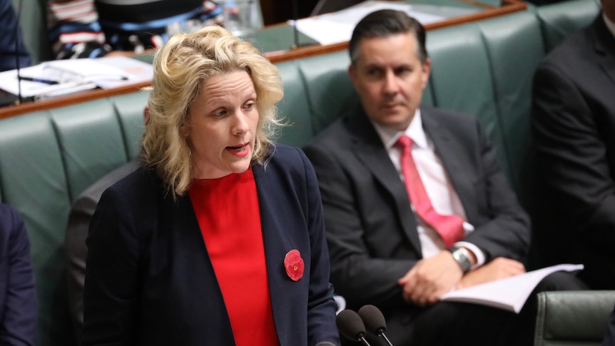 Clare O'Neil asks a question during Question Time. She's standing at the despatch box, with Mark Butler in the background.