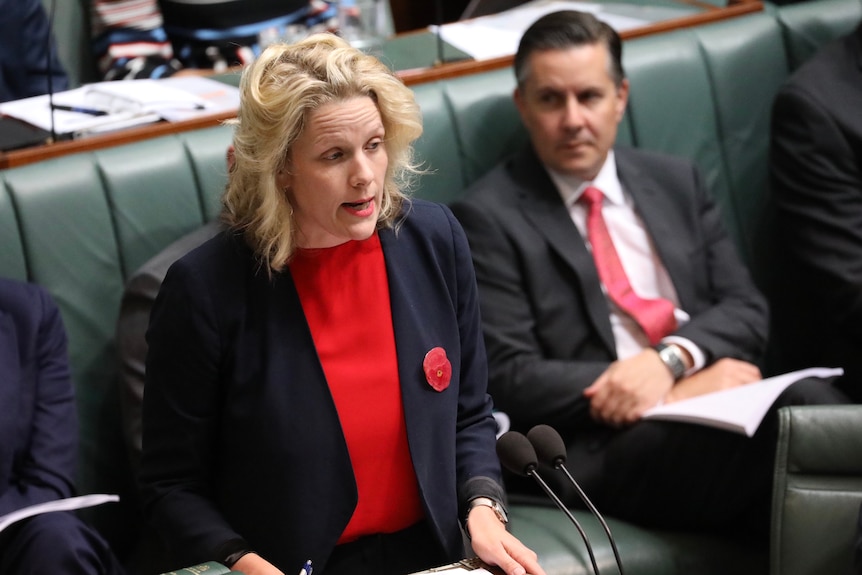 Clare O'Neil asks a question during Question Time. She's standing at the despatch box, with Mark Butler in the background.