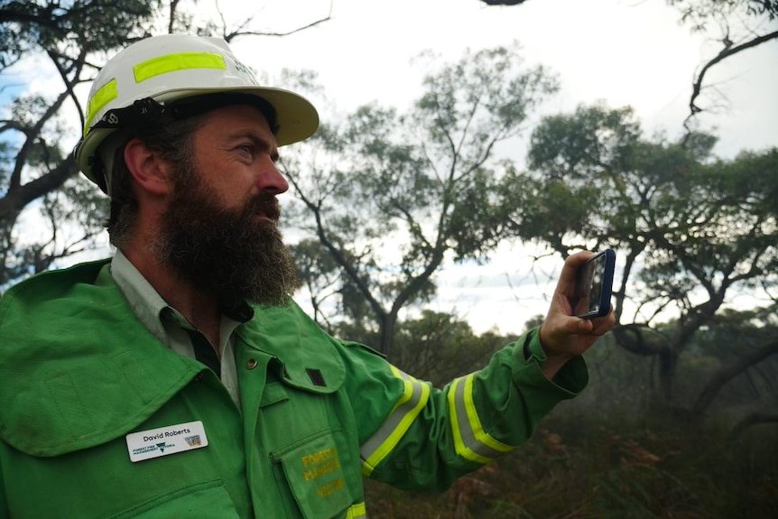 A man with a bushy brown beard wears green overalls and a white hard hat. He stands in the bush holding up a mobile phone.
