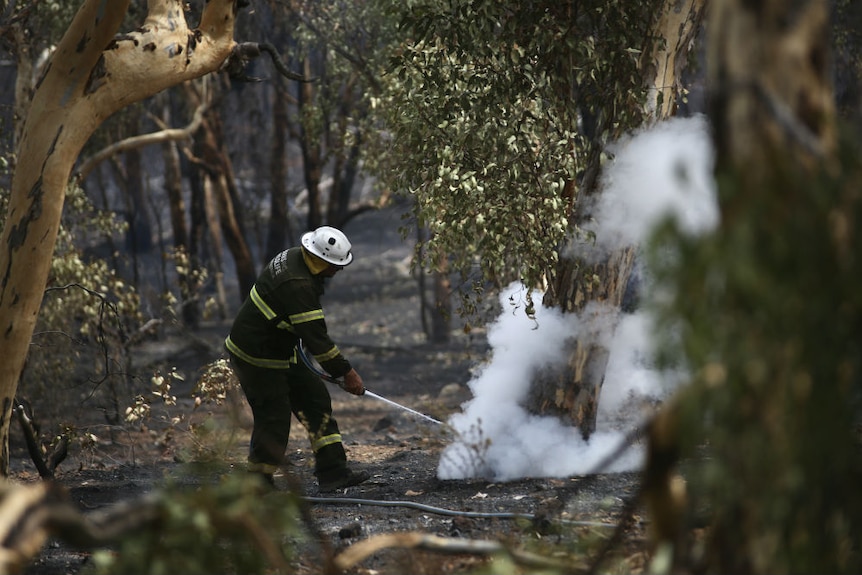 A firefighter using a hose in bushland.