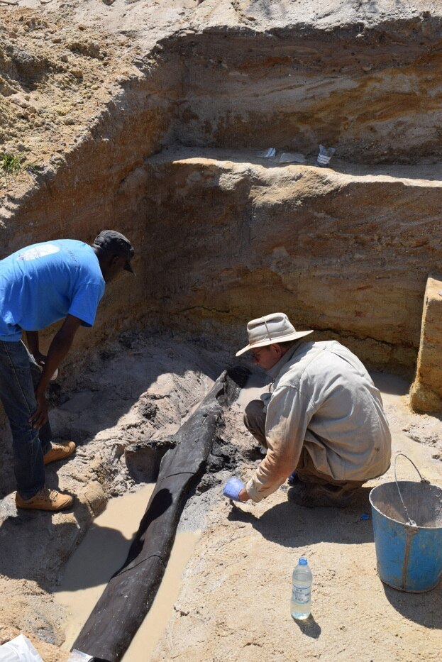 World's Oldest Wooden Structure Discovered In Zambia, Dating Back ...