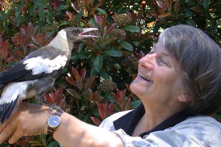 A magpie perches on a smiling woman's wriest.