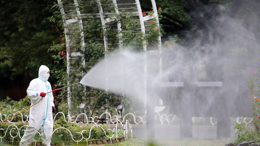 Worker sprays insecticide at Tokyo's Yoyogi Park