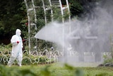 Worker sprays insecticide at Tokyo's Yoyogi Park
