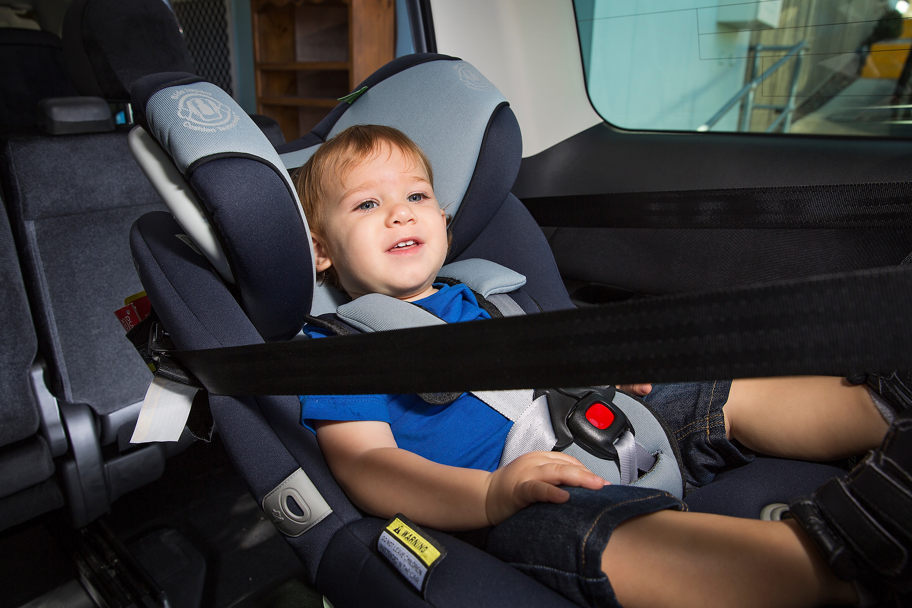 Front Facing Car Seat Laws | Cabinets Matttroy