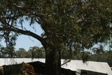 Debris sits in floodwaters in Newbridge, near Bendigo