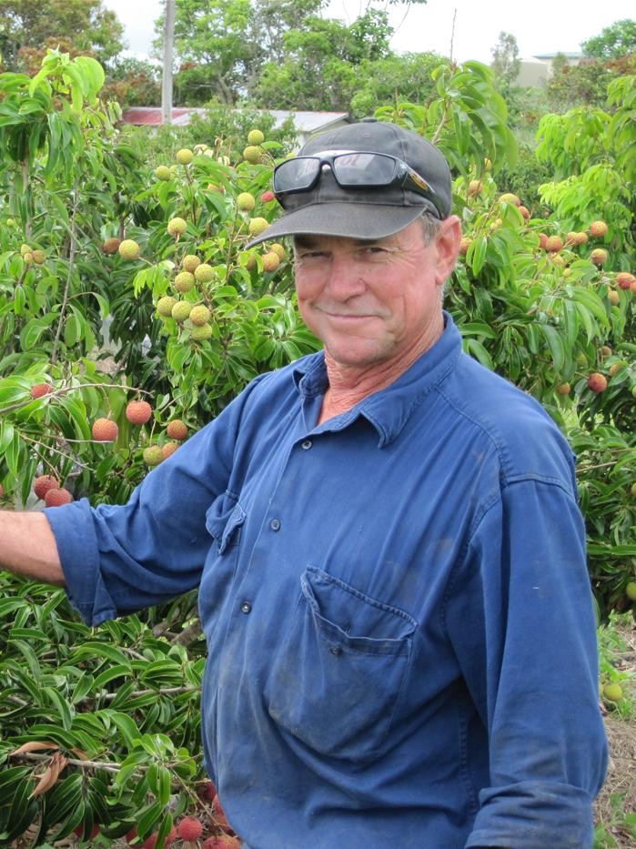 A man in a blue work outfit stands by a lychee bush