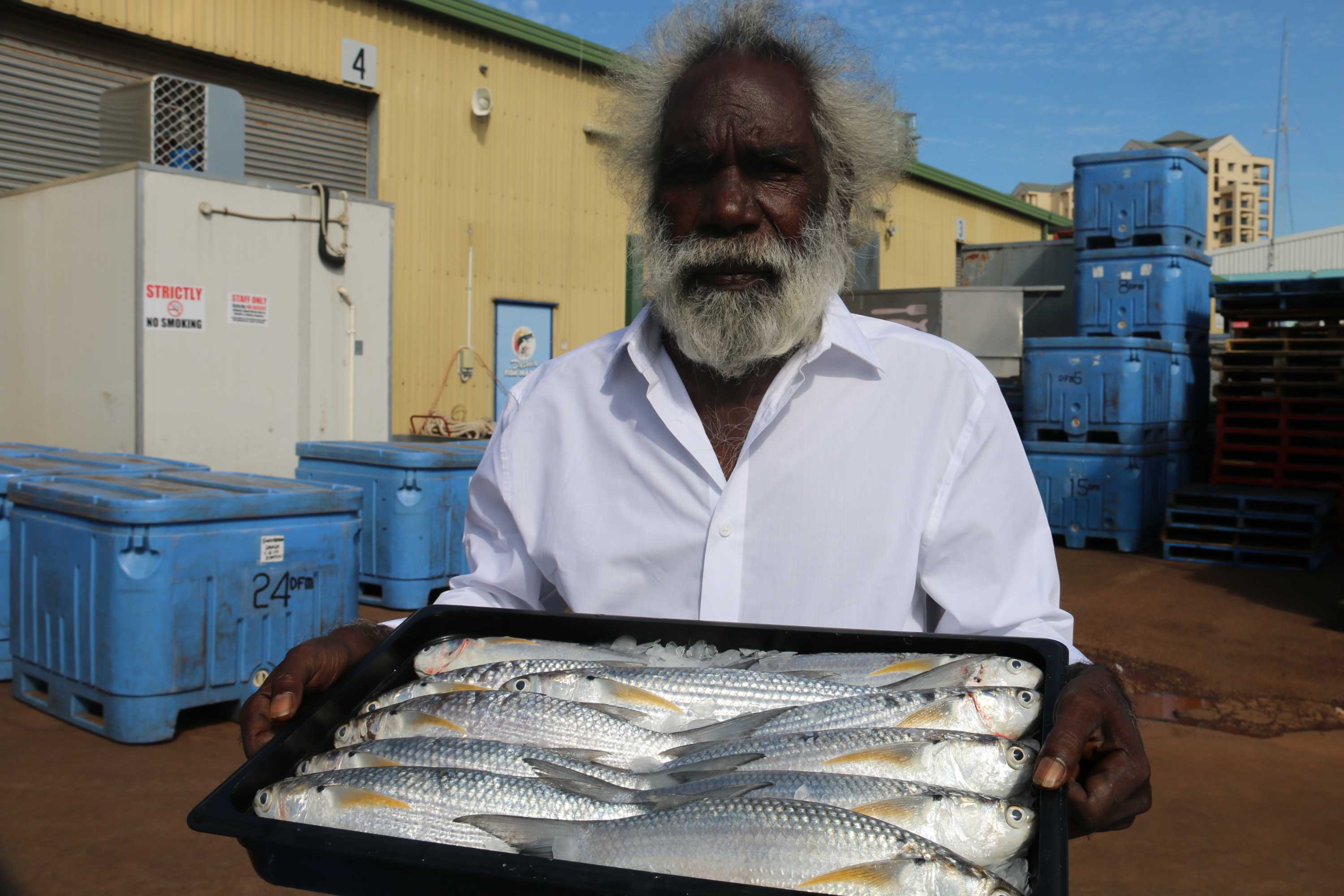 Maningrida Bluetail Mullet for sale at Darwin Fish Market for the first