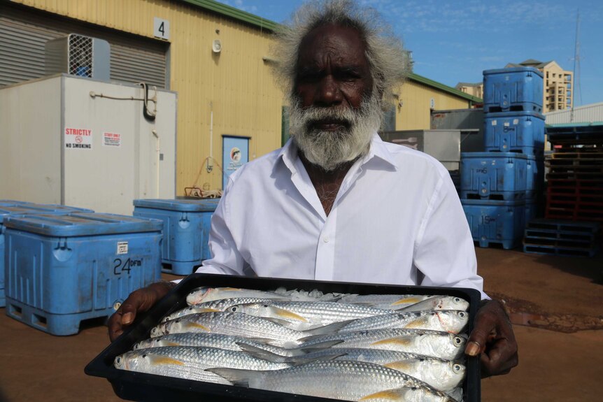 Maningrida Bluetail Mullet for sale at Darwin Fish Market for the
