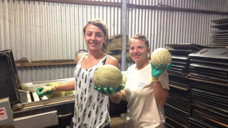 Two girls stand holding rockmelons