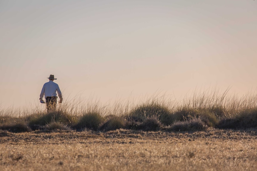 A silhouette of a man wearing a broad-brimmed hat walking through spinifex clumps against a sunset sky.