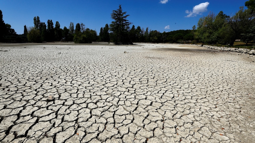 A dried up pond in Tourtour, France